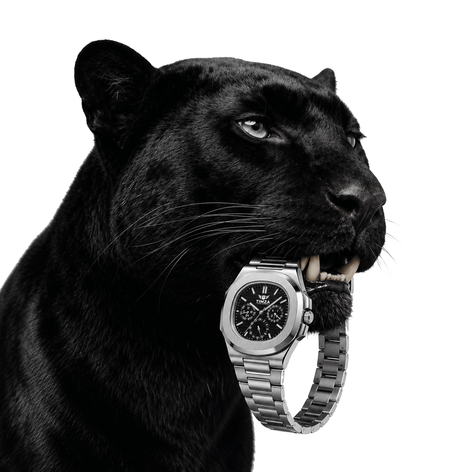 Black panther holding a TIMZA luxury watch — Official Collection